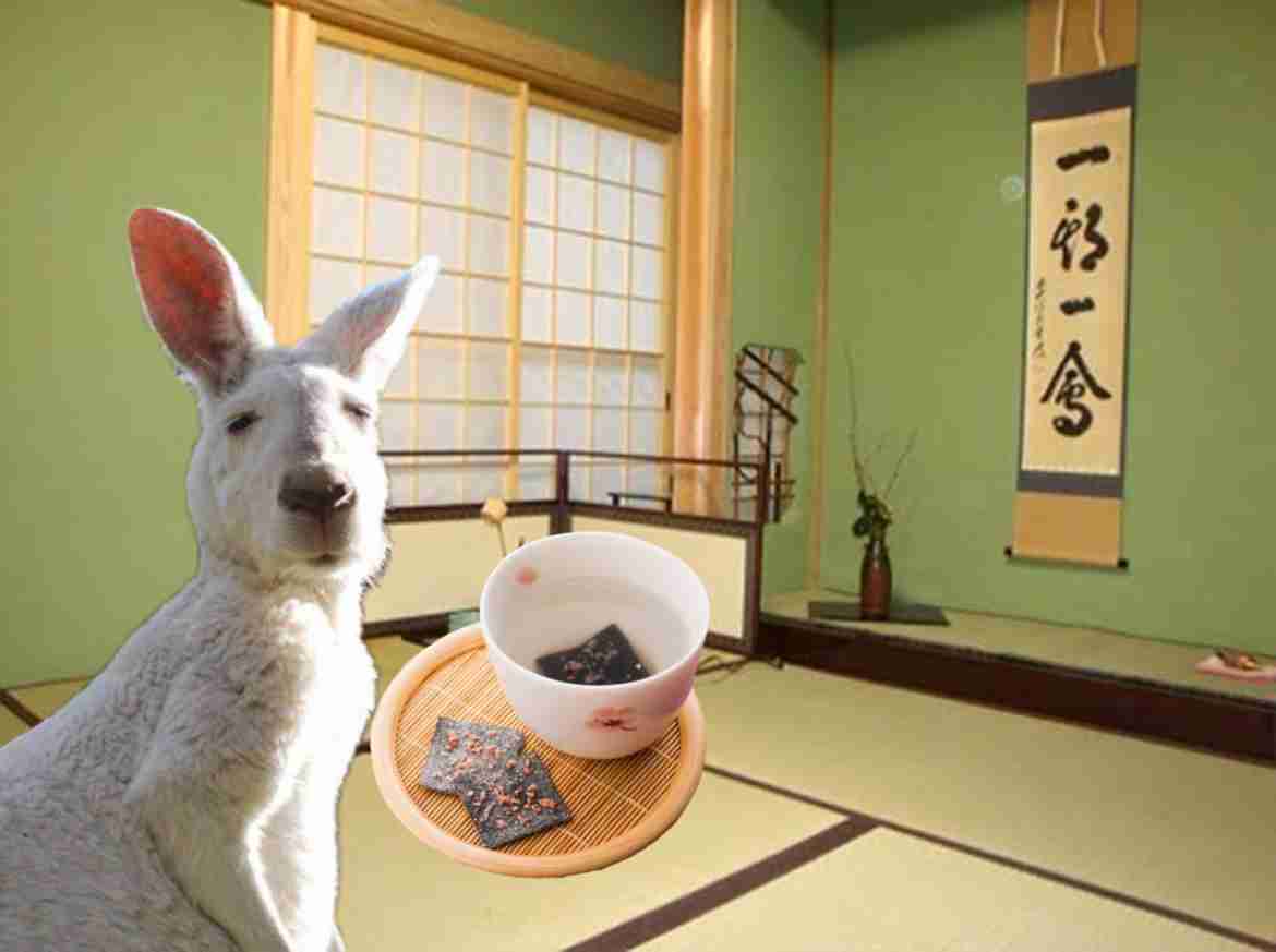 あびる優、クレジットカード不正利用の被害を明かす“番号総当り”手口に「気をつけようもない」