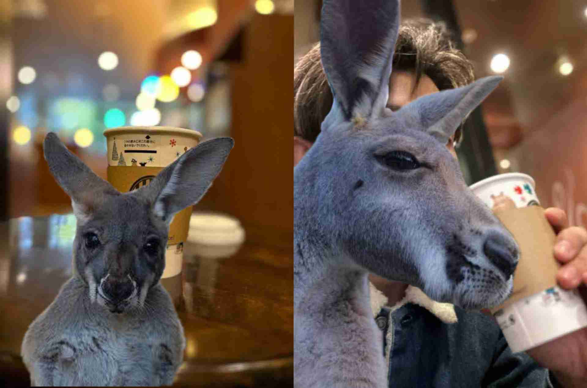 あびる優、クレジットカード不正利用の被害を明かす“番号総当り”手口に「気をつけようもない」