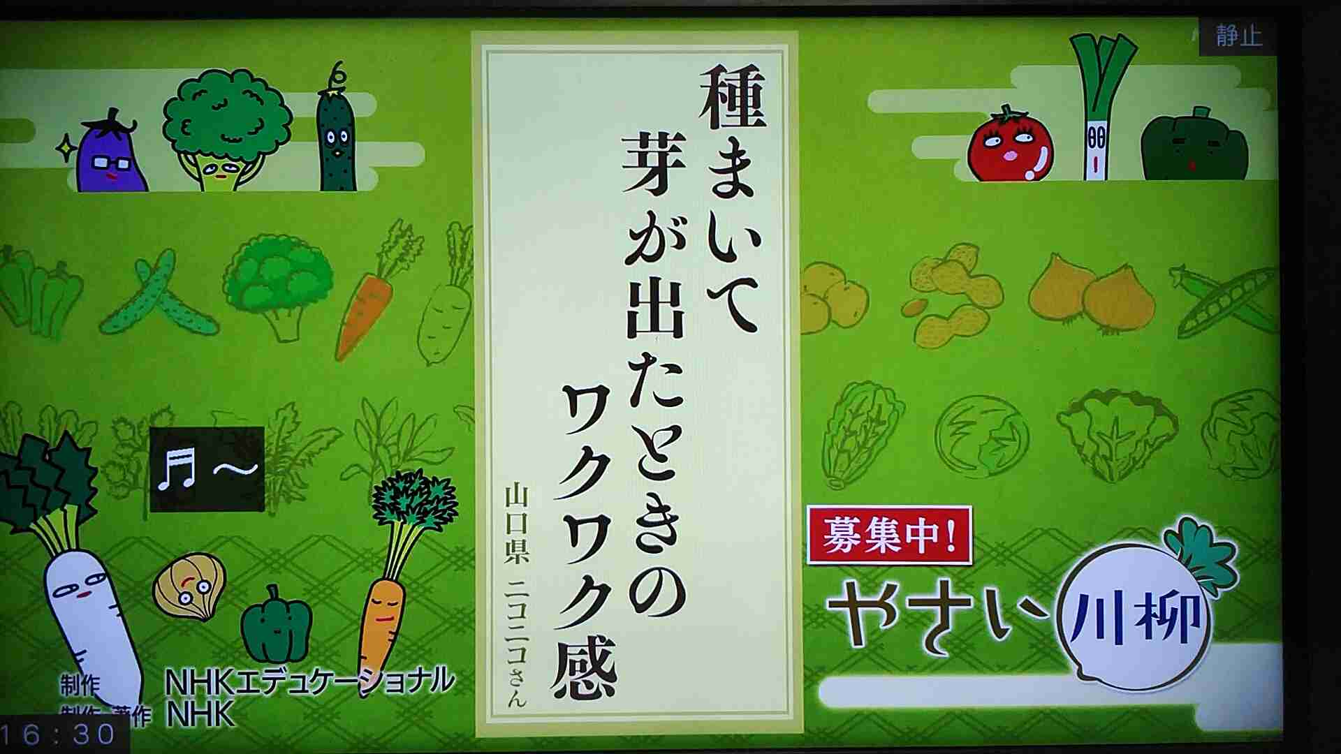 結局今年流行ったものって何だと思いますか？