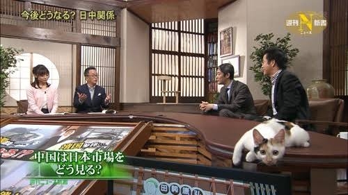 【ネタ可】もし自分が議員や政治家になったら実行したい事