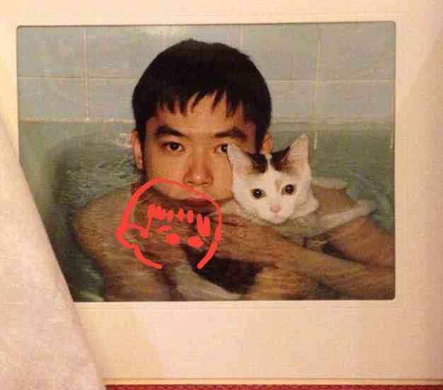 猫飼いさんはみんなうなずきそう！猫が大好きな「場所」5つ　猫なりに好きな理由があった