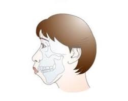 古今東西の美を語ろう
