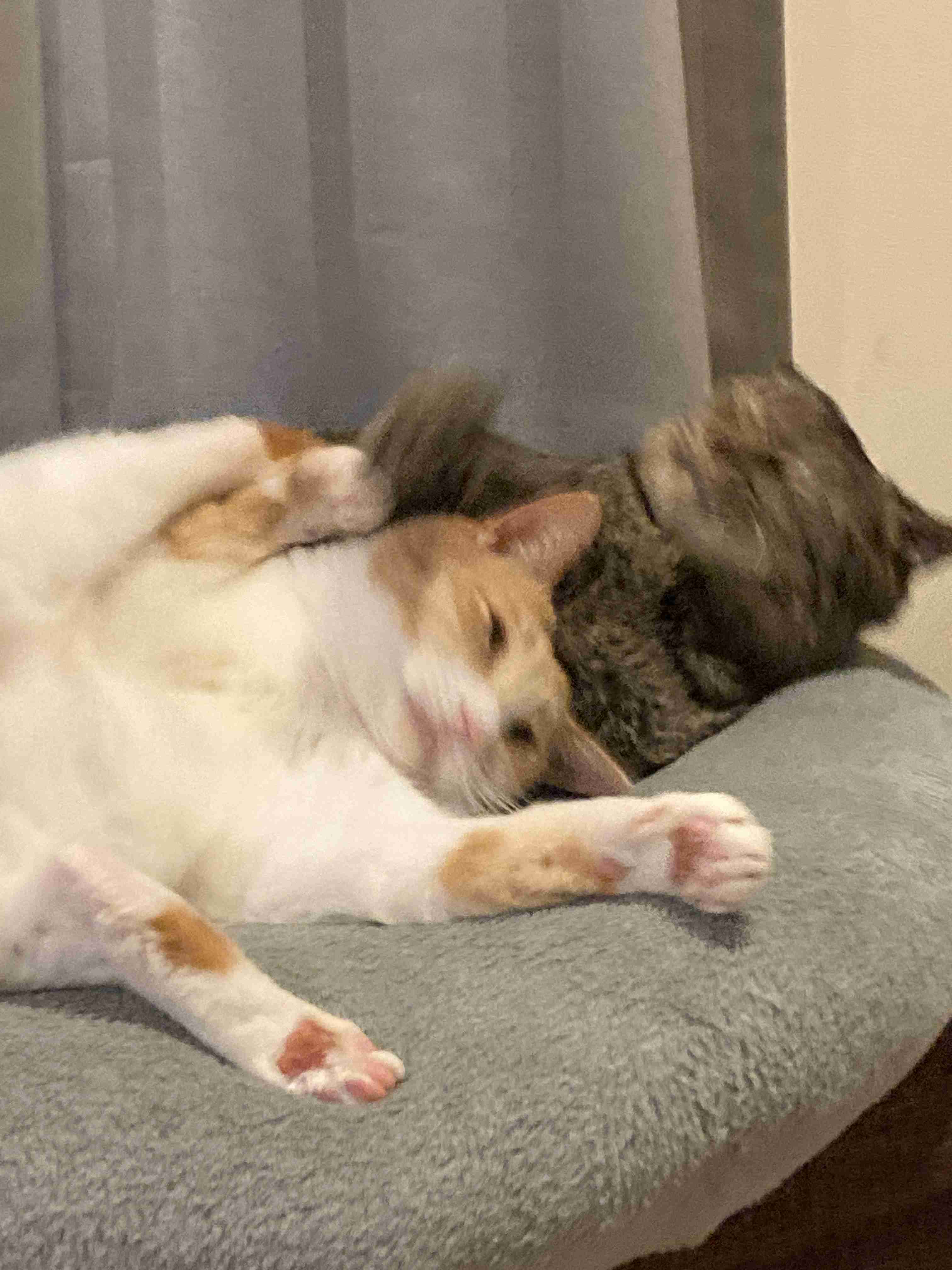 いま周りを見回して、真っ先に目に付いたものって?