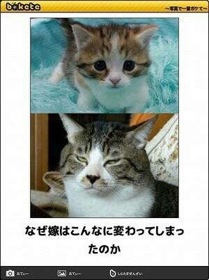 いろんなものの昔と今の比較画像