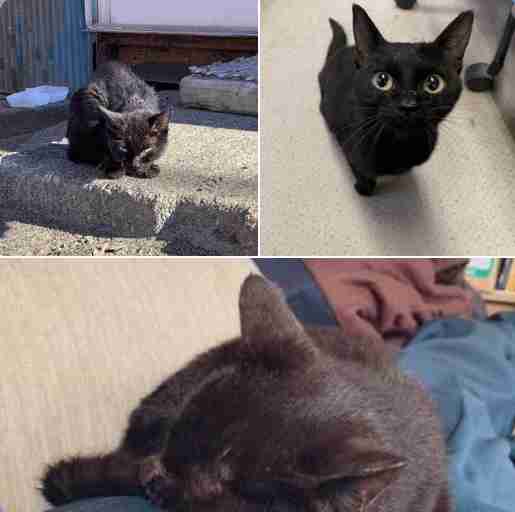 いろんなものの昔と今の比較画像