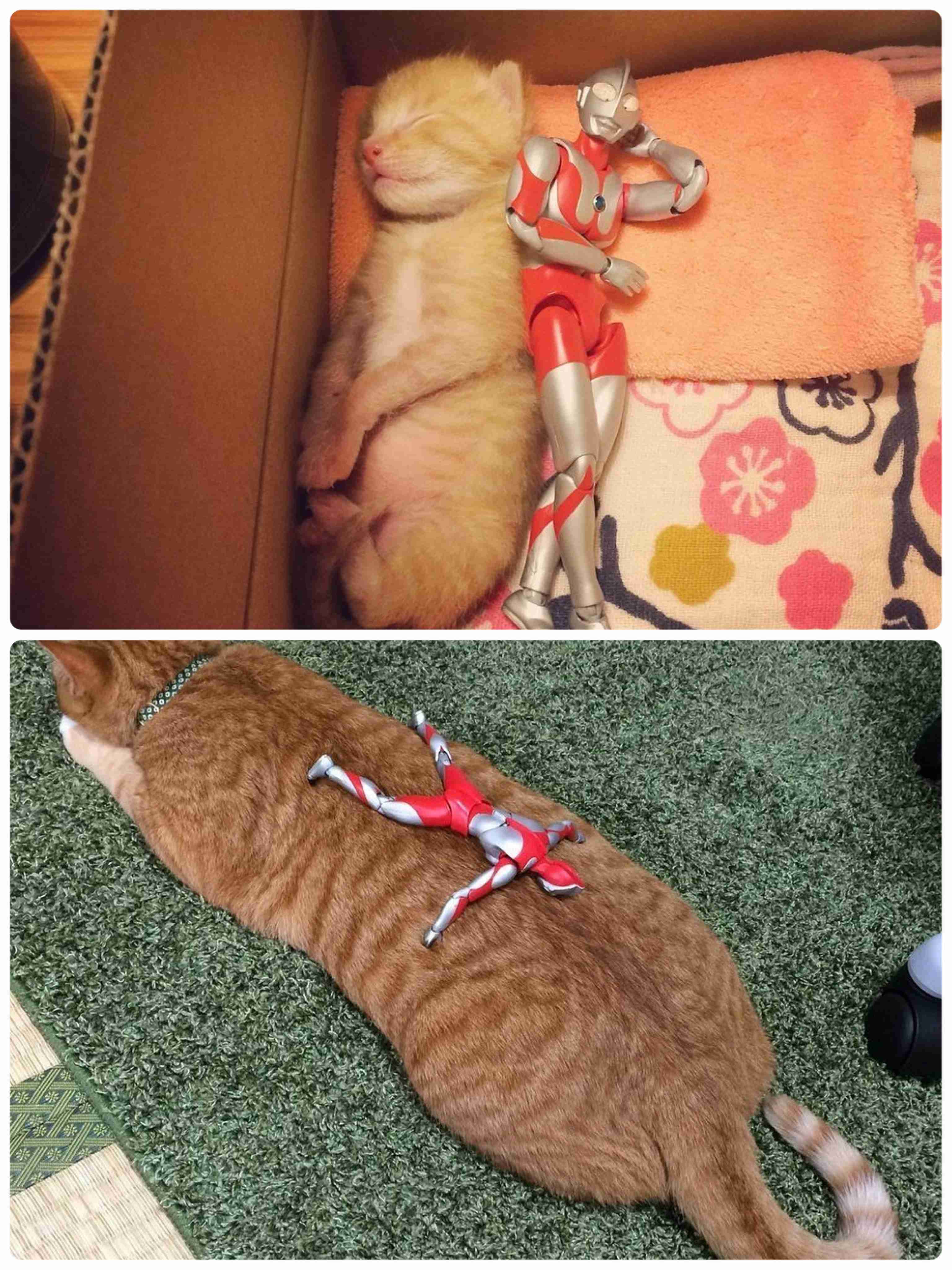 いろんなものの昔と今の比較画像