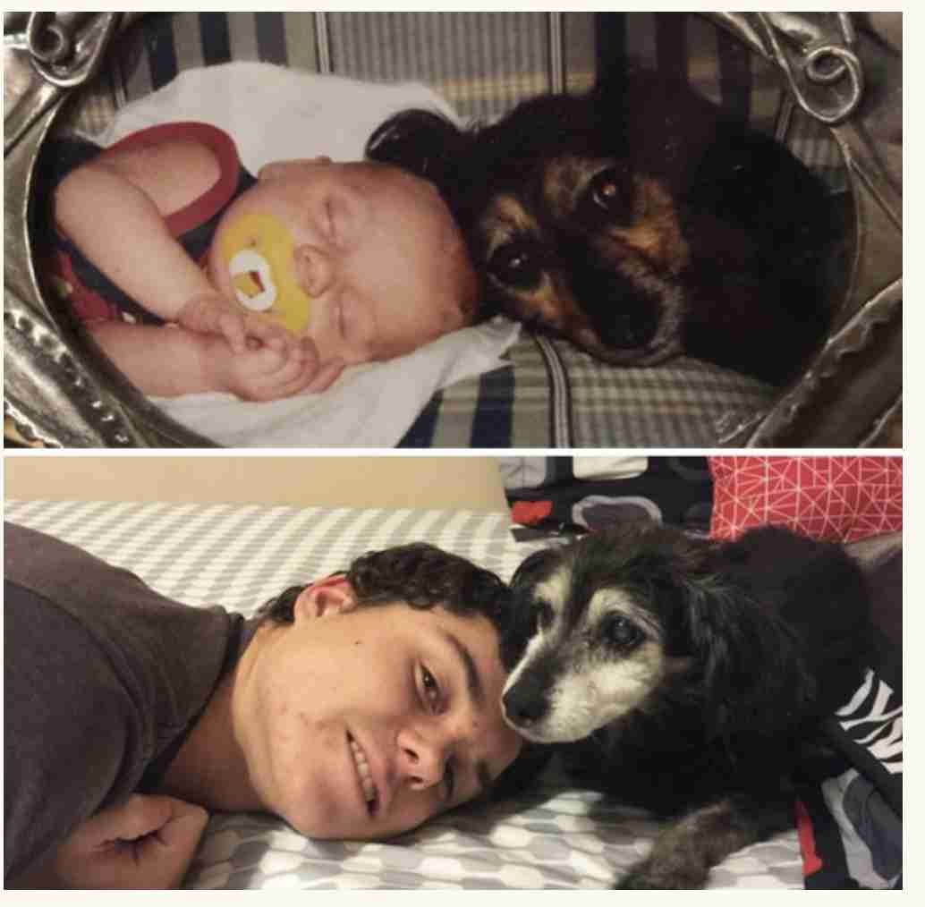 いろんなものの昔と今の比較画像