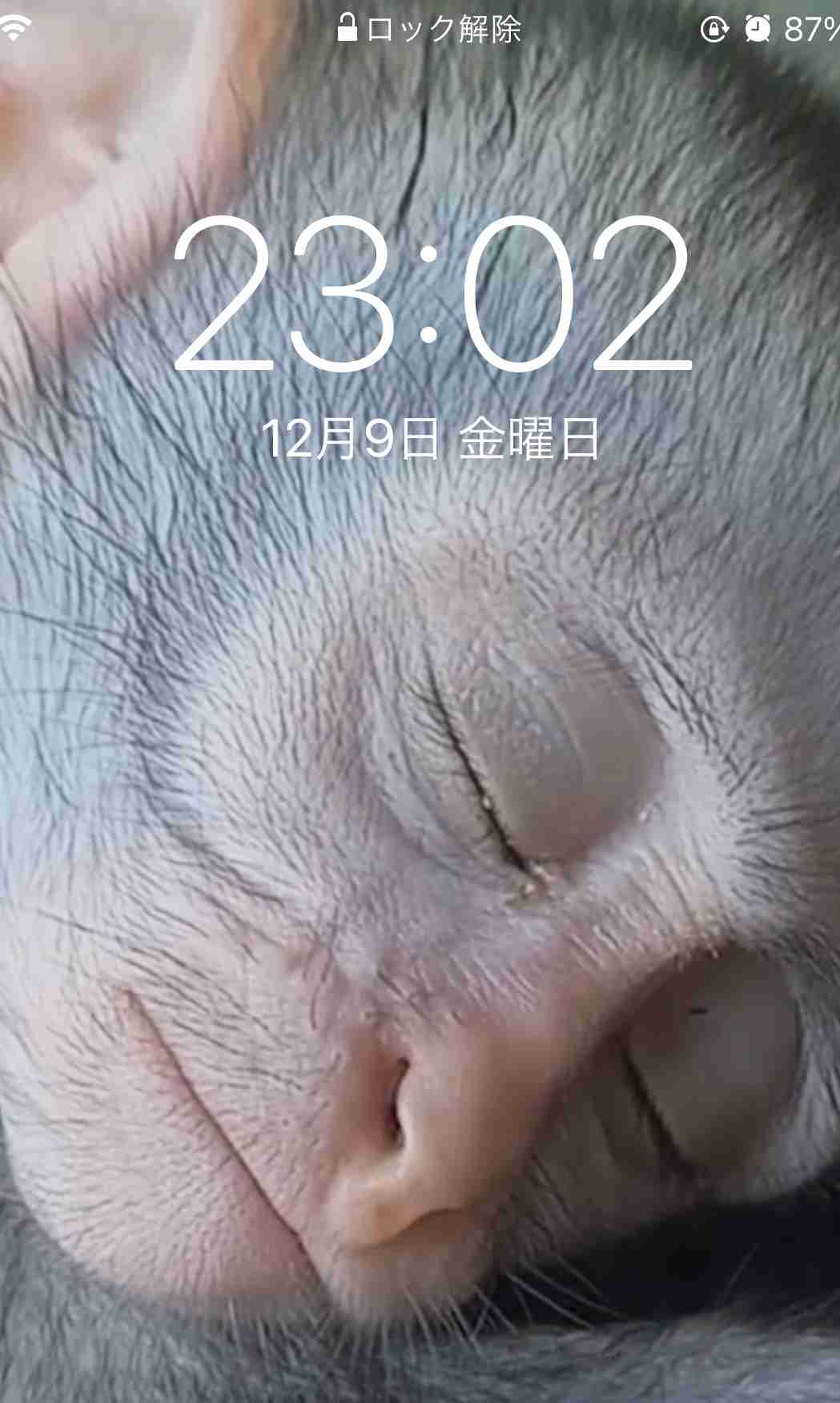 スマホのロック&ホーム画面見せて！part2 
