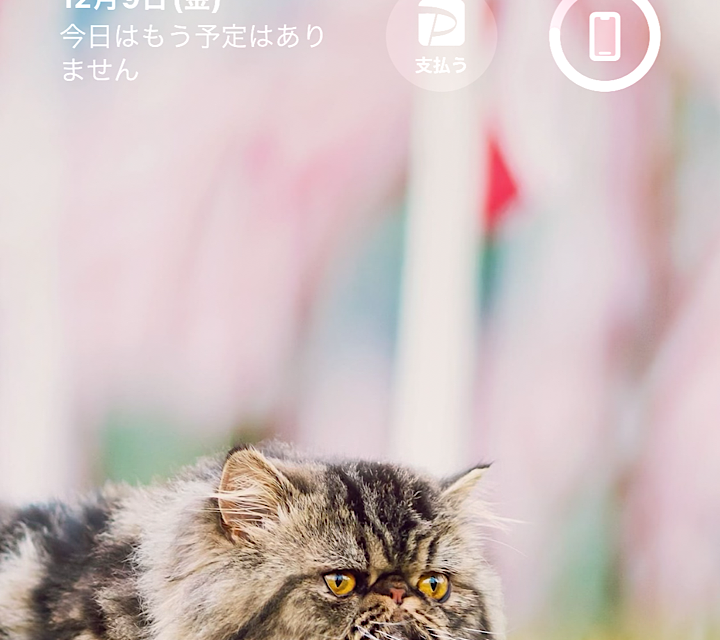スマホのロック&ホーム画面見せて！part2 