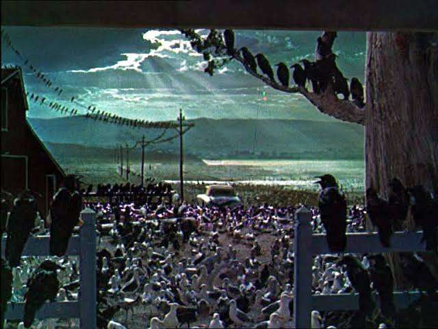 ヒッチコック監督作品が好きな人～