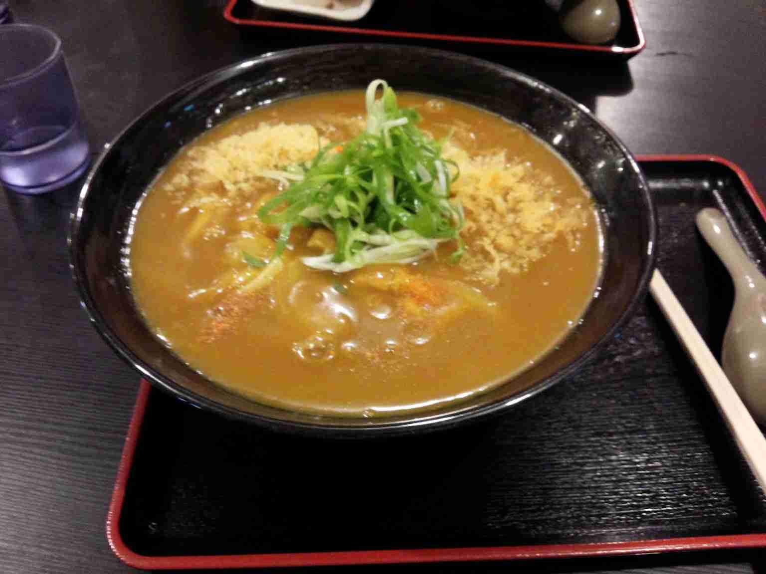 カレーうどん好きな人