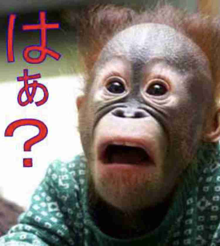 職場への不満は何ですか？(仕事、待遇、人間関係など)Part2
