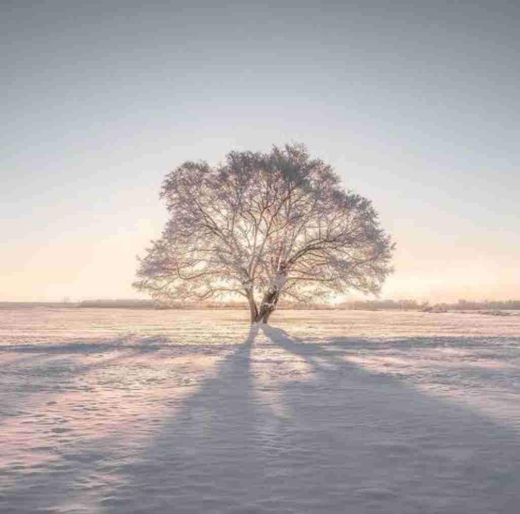 【雪国】ホワイトアウトを経験した事ありますか？