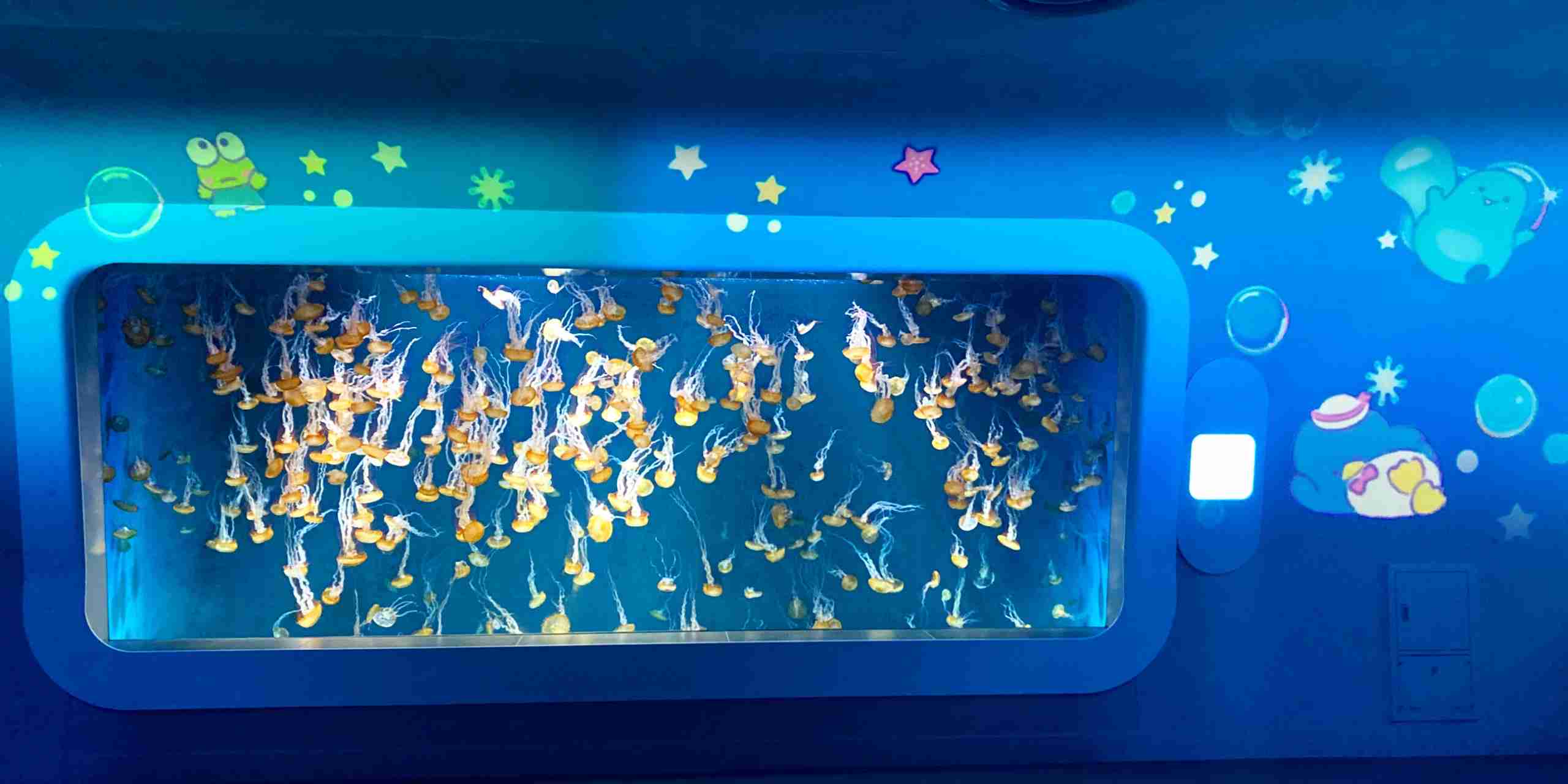 趣味の一部見せて下さい!part2