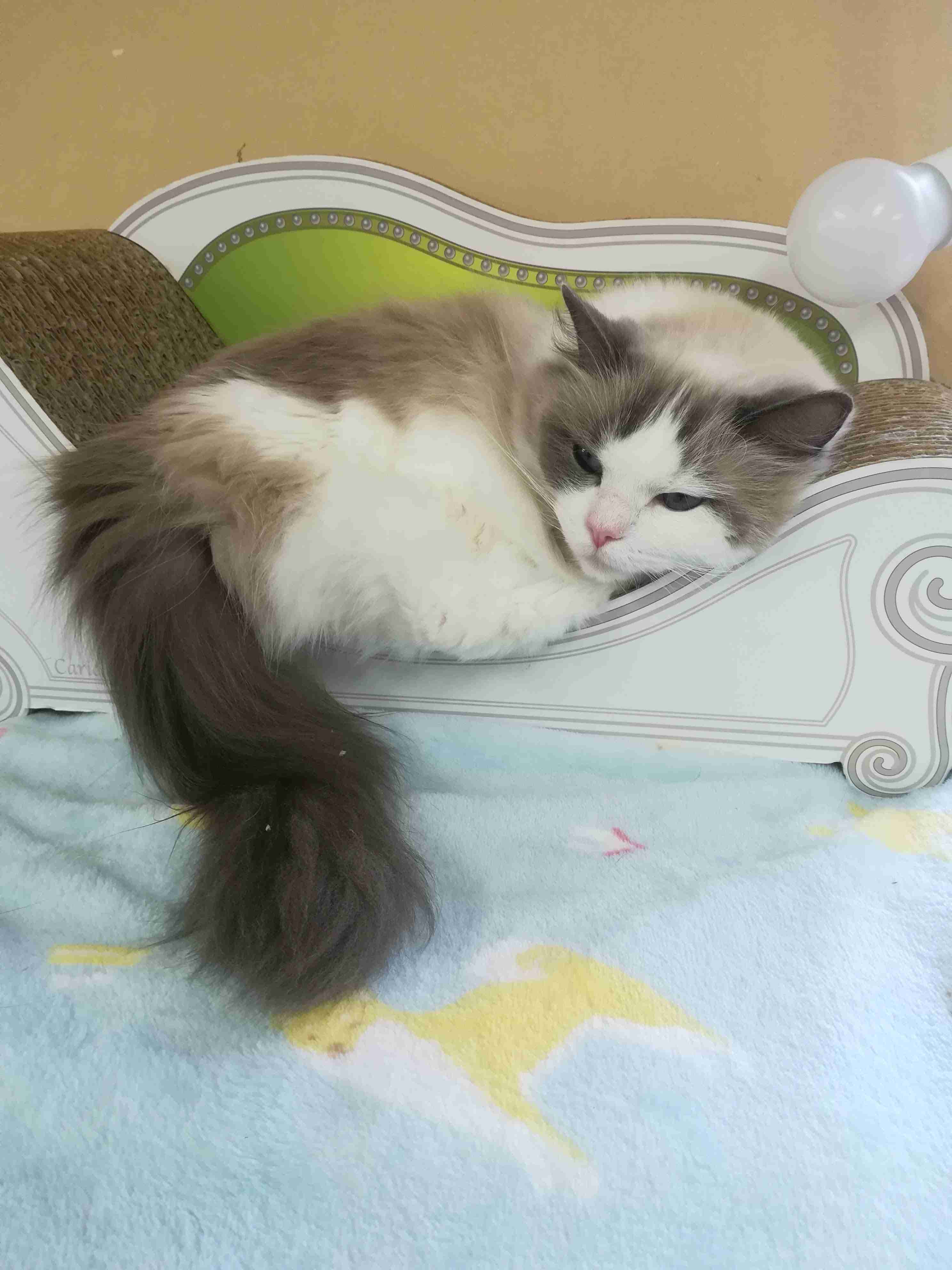 趣味の一部見せて下さい!part2