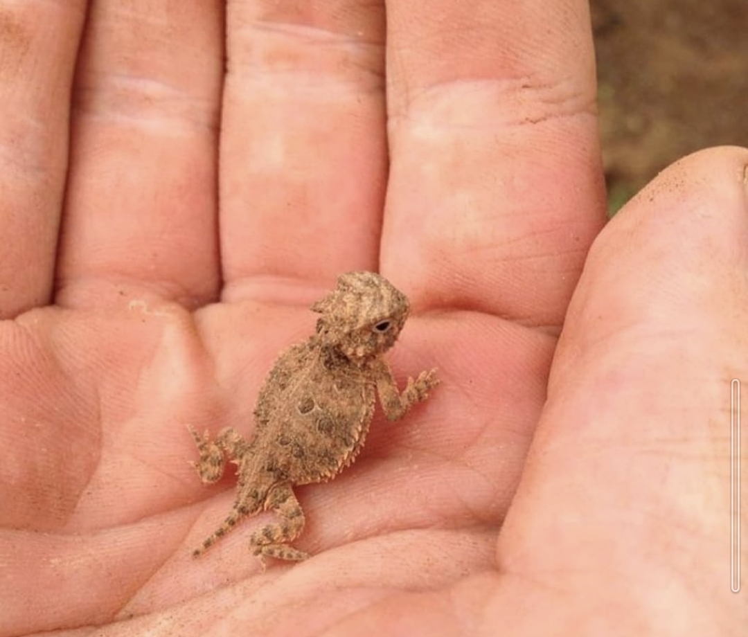 趣味の一部見せて下さい!part2