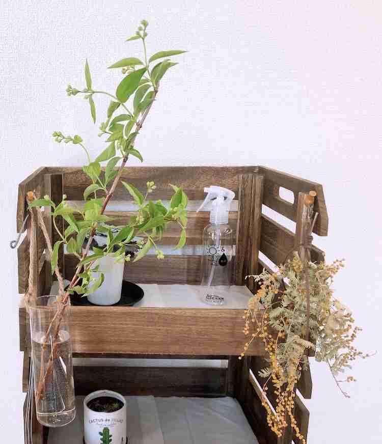 趣味の一部見せて下さい!part2