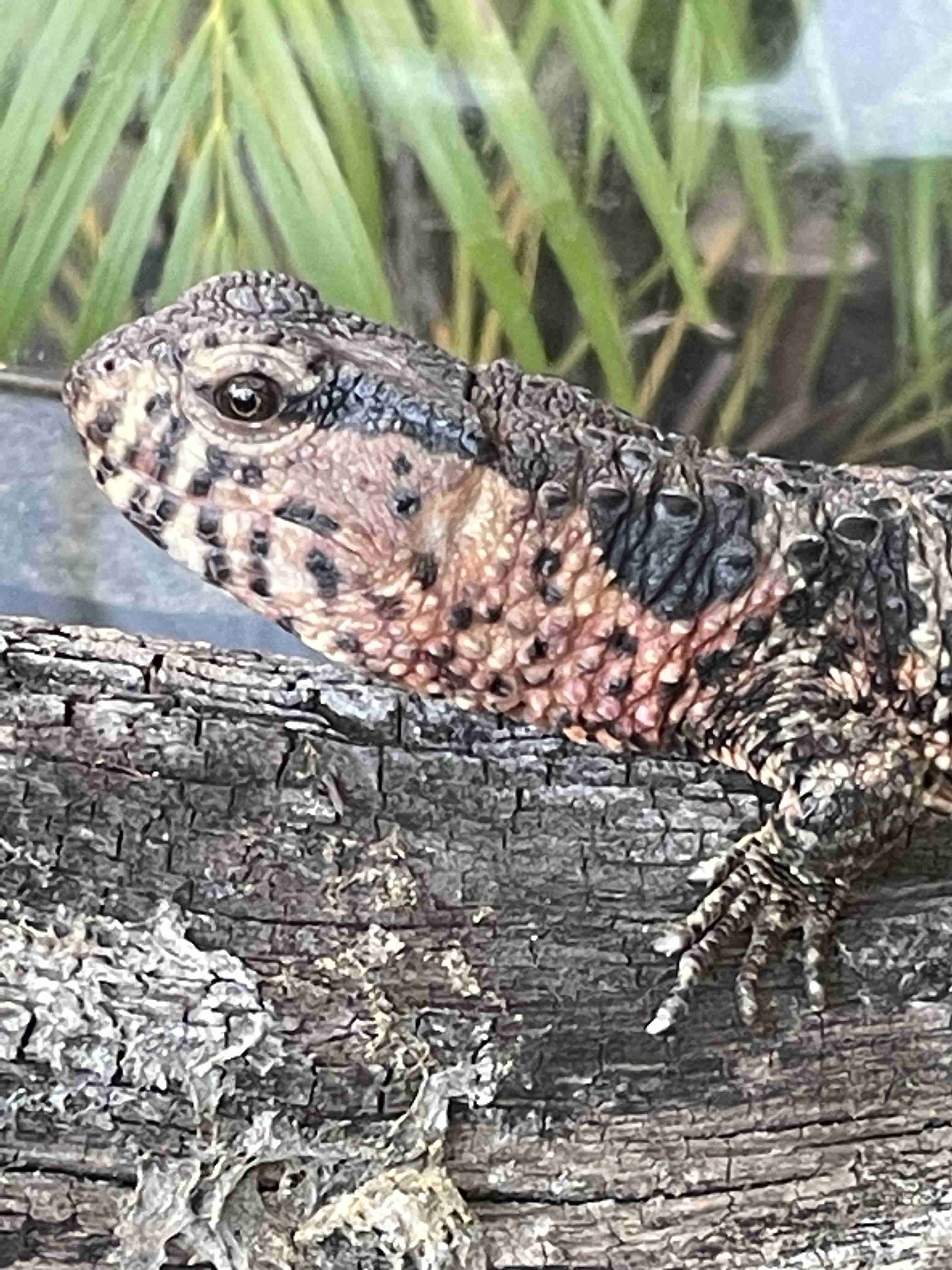 趣味の一部見せて下さい!part2