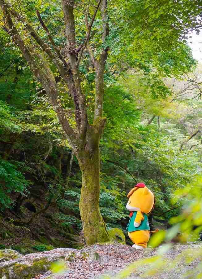 好きな都道府県は？理由もお願いします🙇
