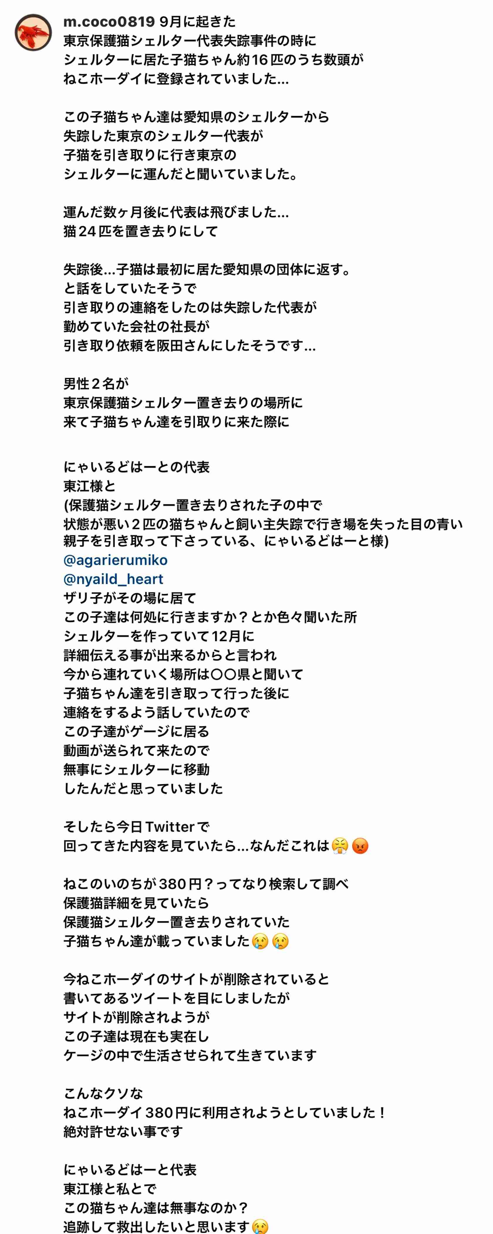 ひろゆき氏、批判殺到の「ねこホーダイ」に一定の理解「猫レンタルは飼える人増やす苦肉の策」