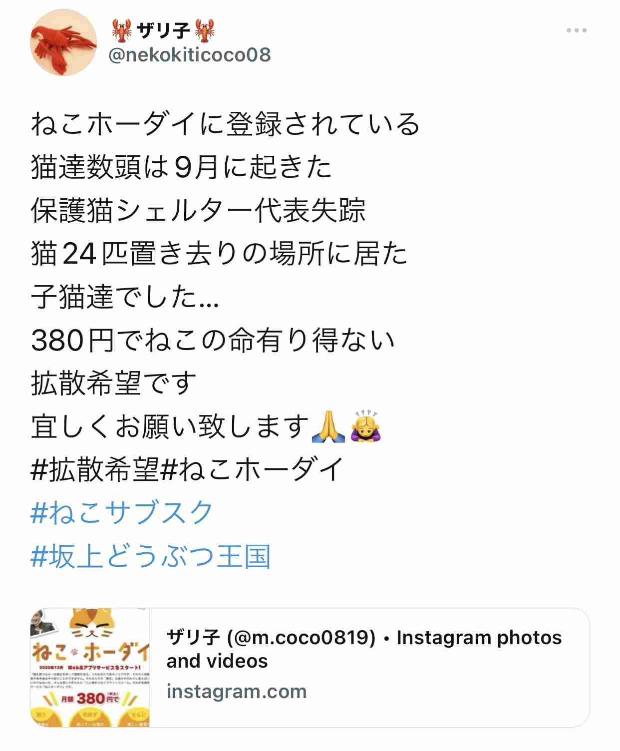 ひろゆき氏、批判殺到の「ねこホーダイ」に一定の理解「猫レンタルは飼える人増やす苦肉の策」