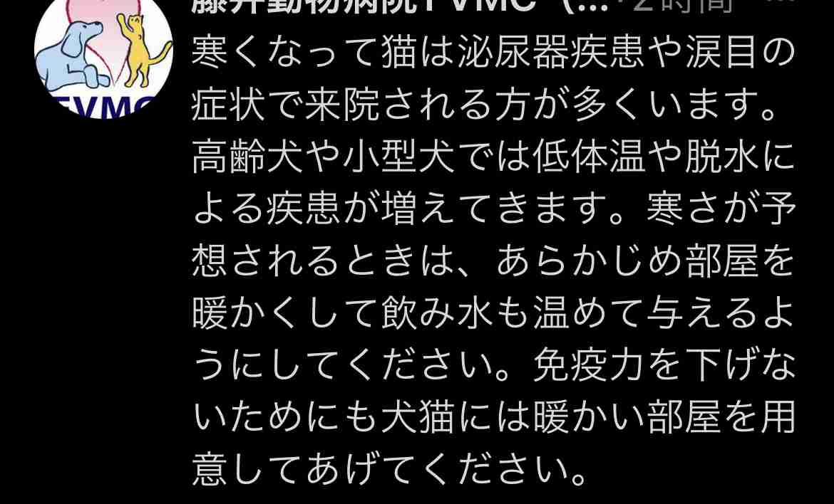 ペットの防寒対策について語ろう