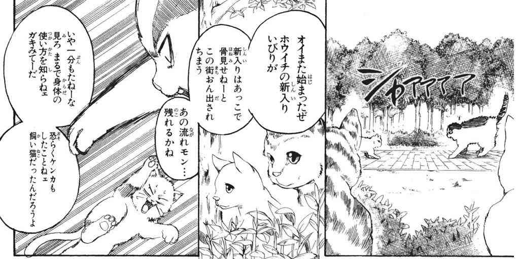ペットの防寒対策について語ろう