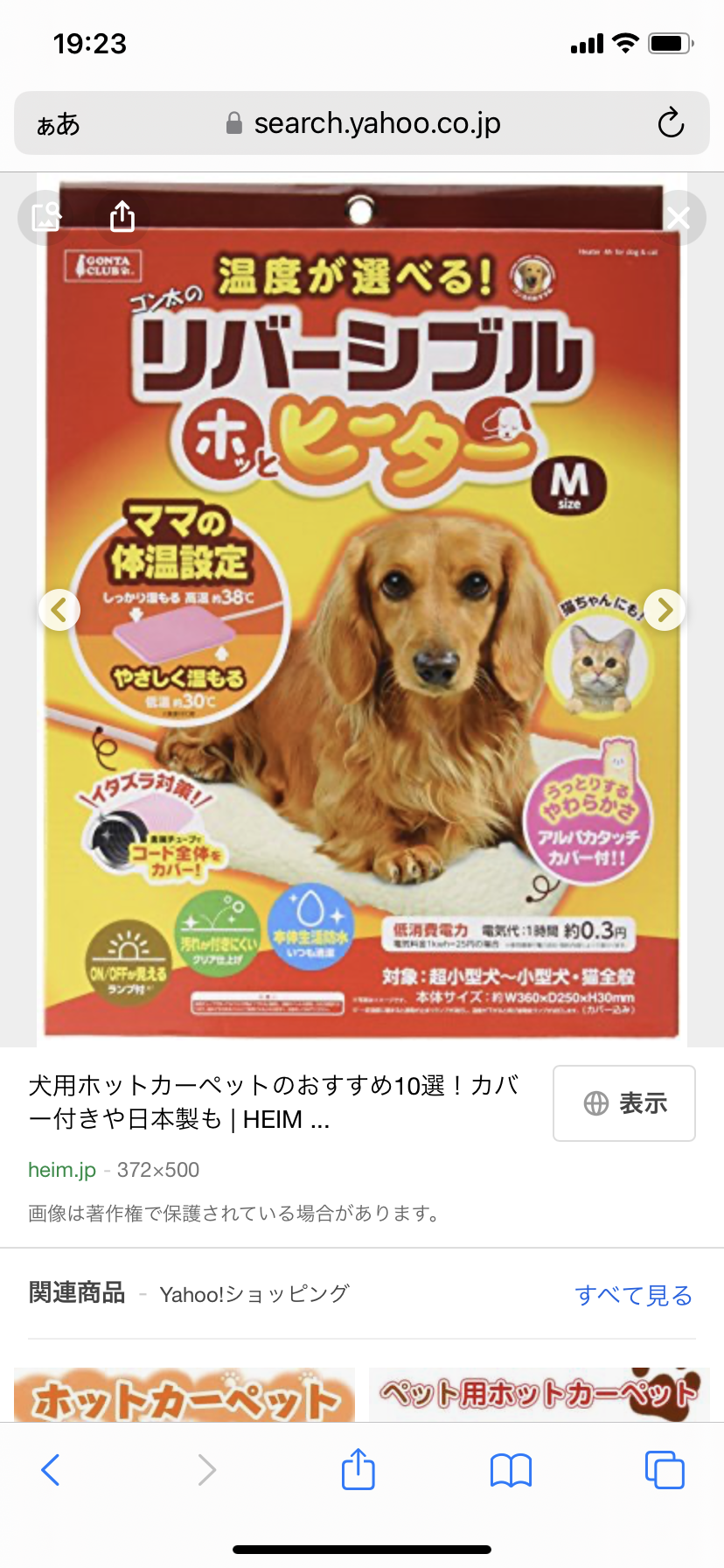 ペットの防寒対策について語ろう