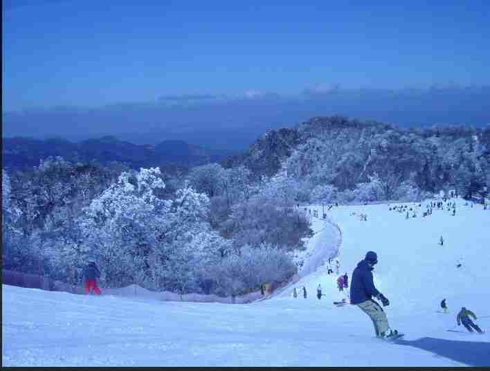 南国愛媛で積雪76センチ、2人死亡…「腰まで雪は記憶にない」
