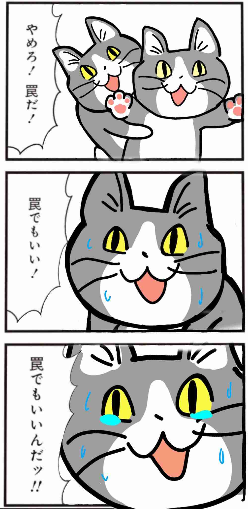 とにかく定期的に見たくなる画像を貼るトピ