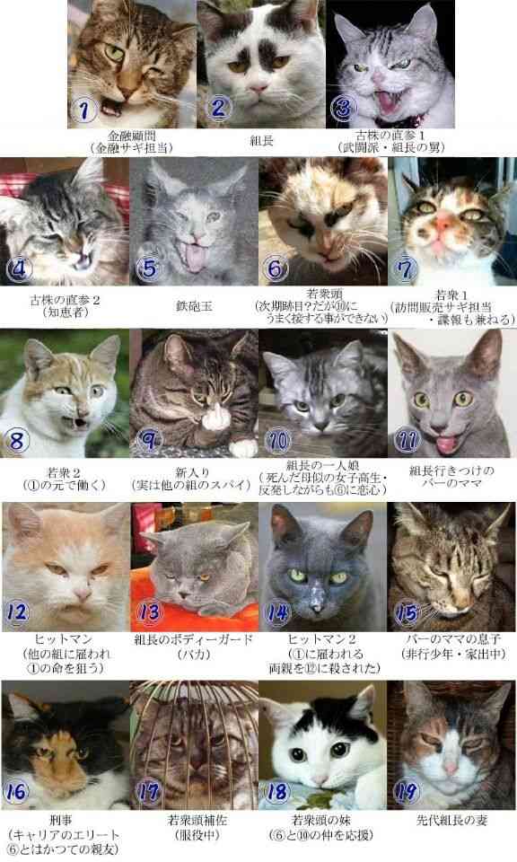 とにかく定期的に見たくなる画像を貼るトピ