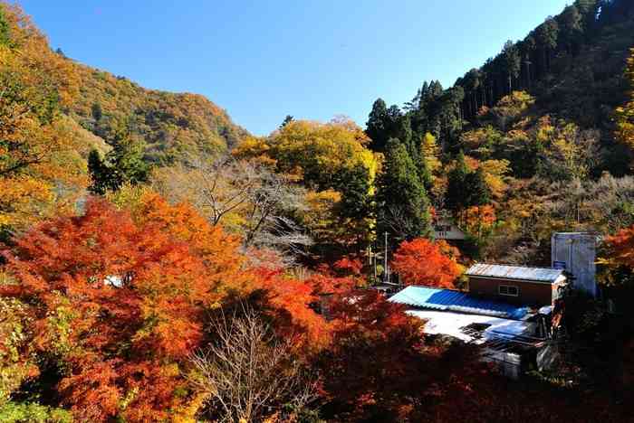 ＜高校生の卒業旅行＞東京行きを計画しているわが子。身の安全も旅費も心配、みんななら行かせる？