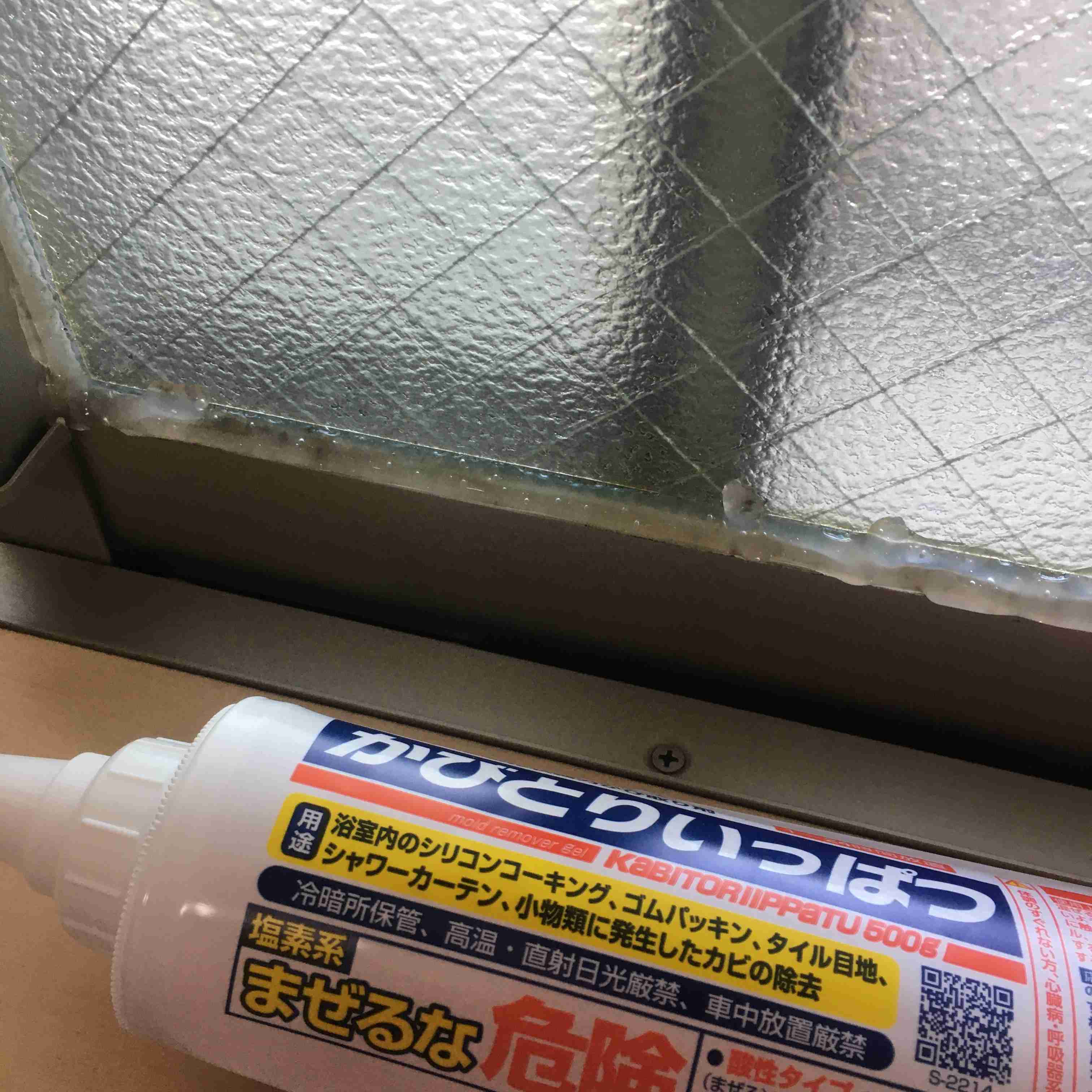 年末年始の我が家の情景を貼るトピ