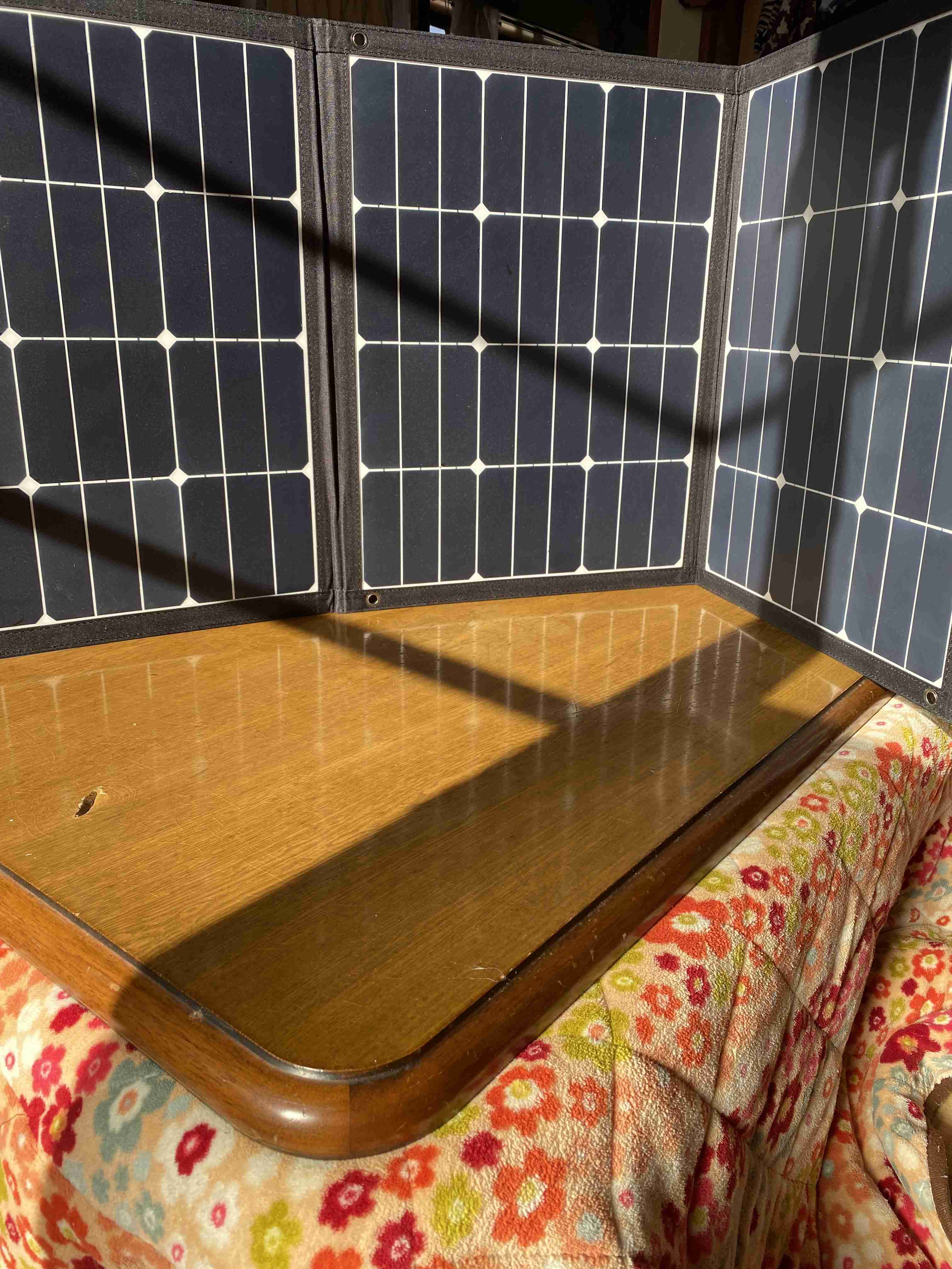 年末年始の我が家の情景を貼るトピ