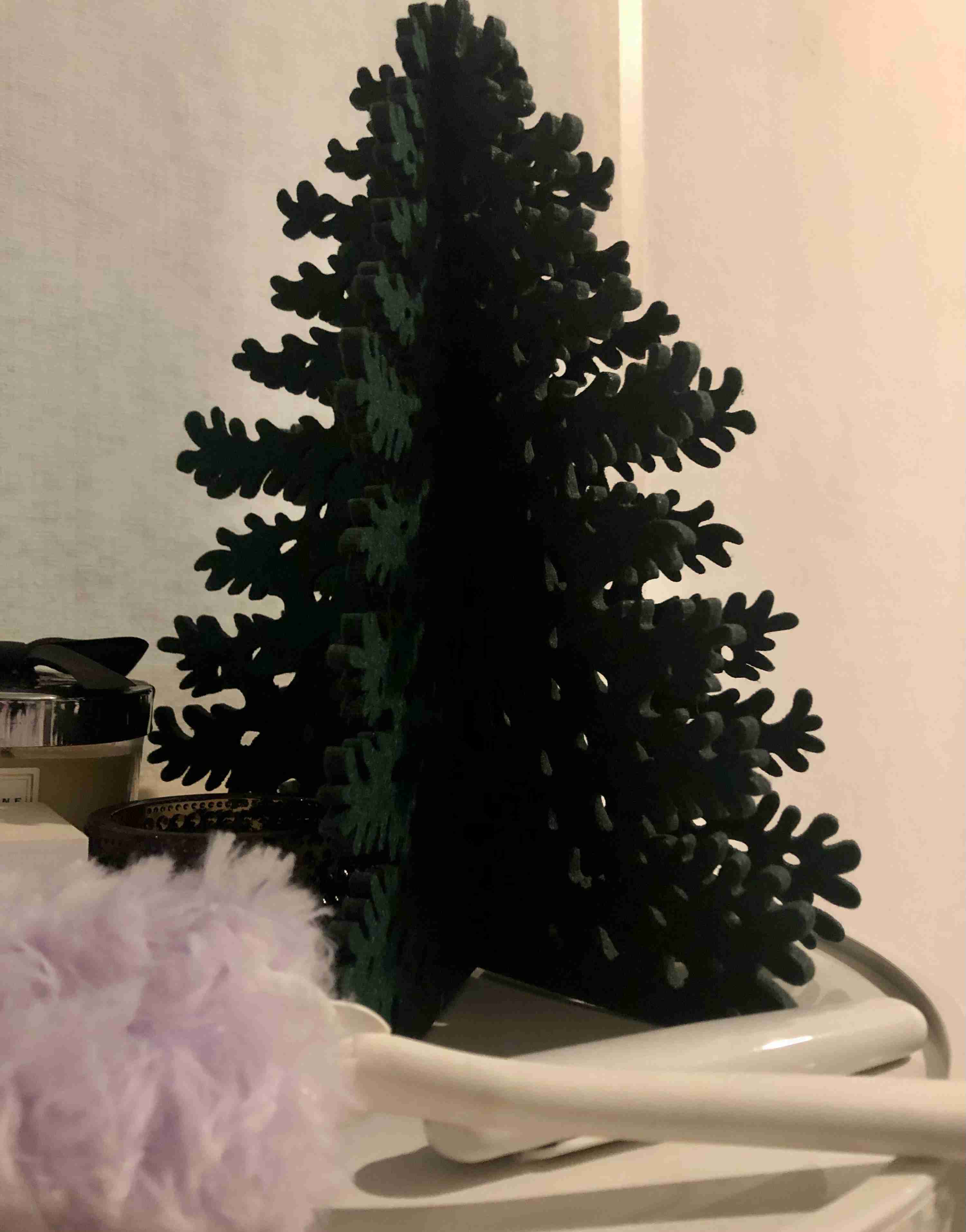 年末年始の我が家の情景を貼るトピ