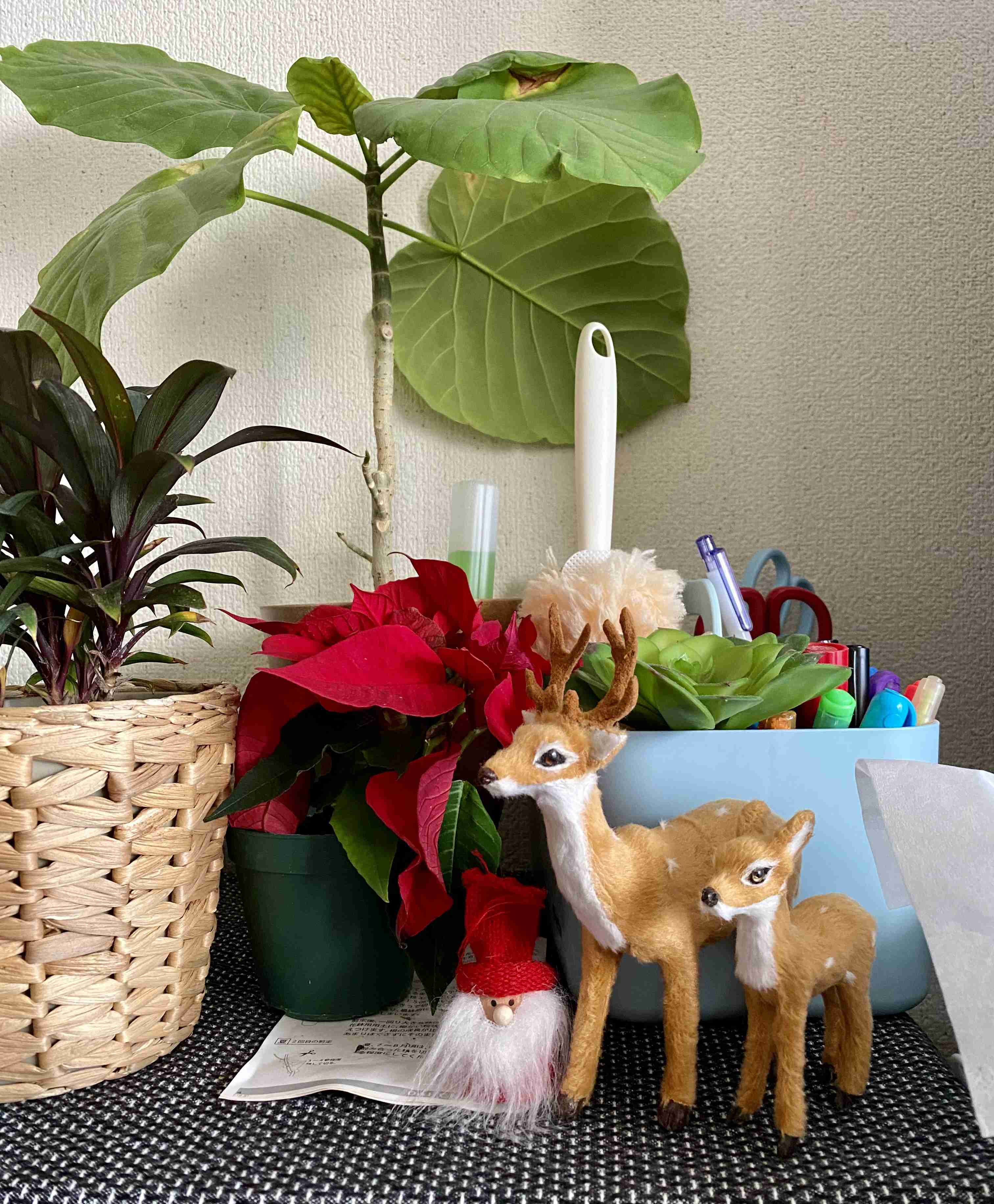 年末年始の我が家の情景を貼るトピ