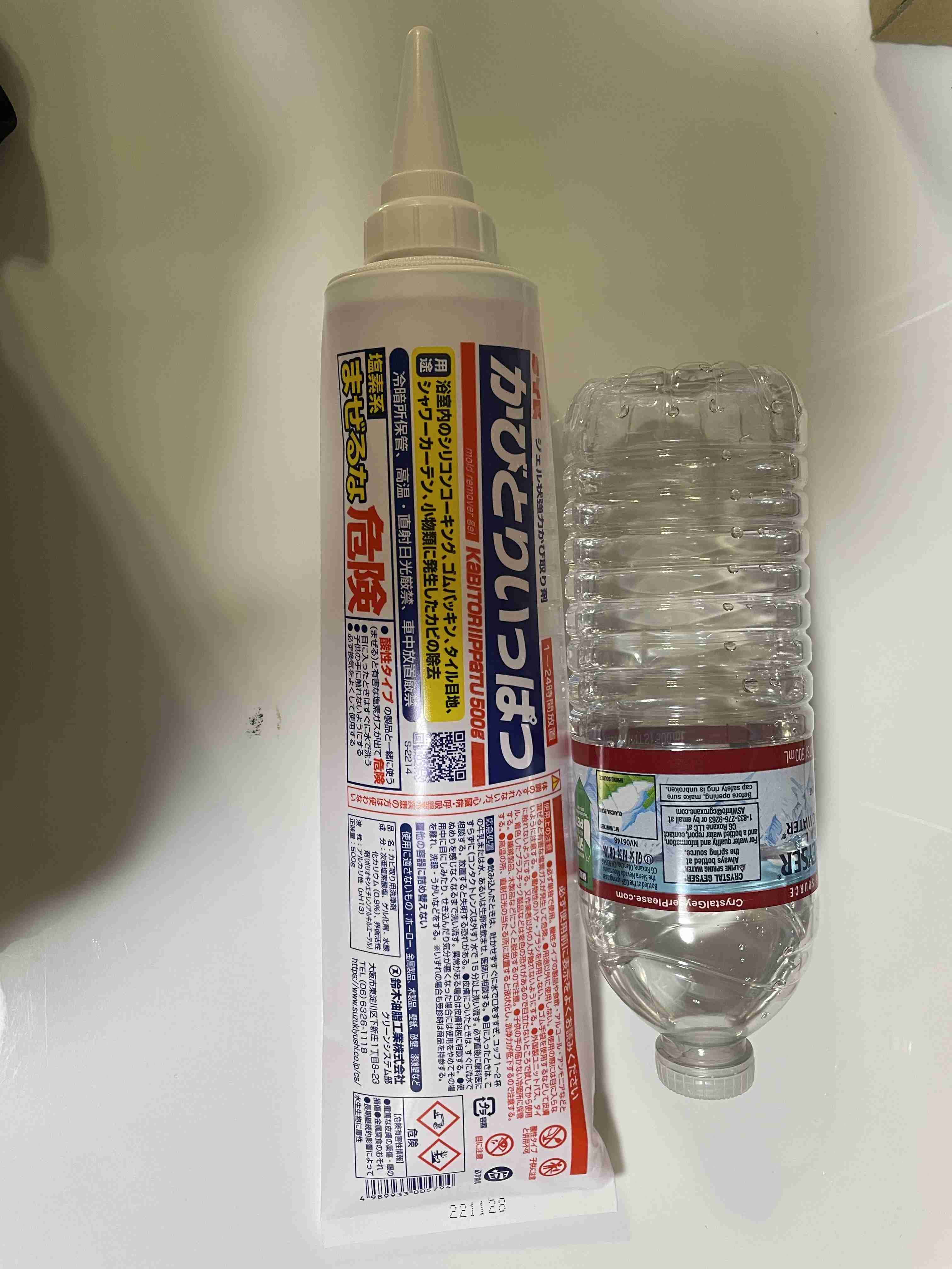 年末年始の我が家の情景を貼るトピ