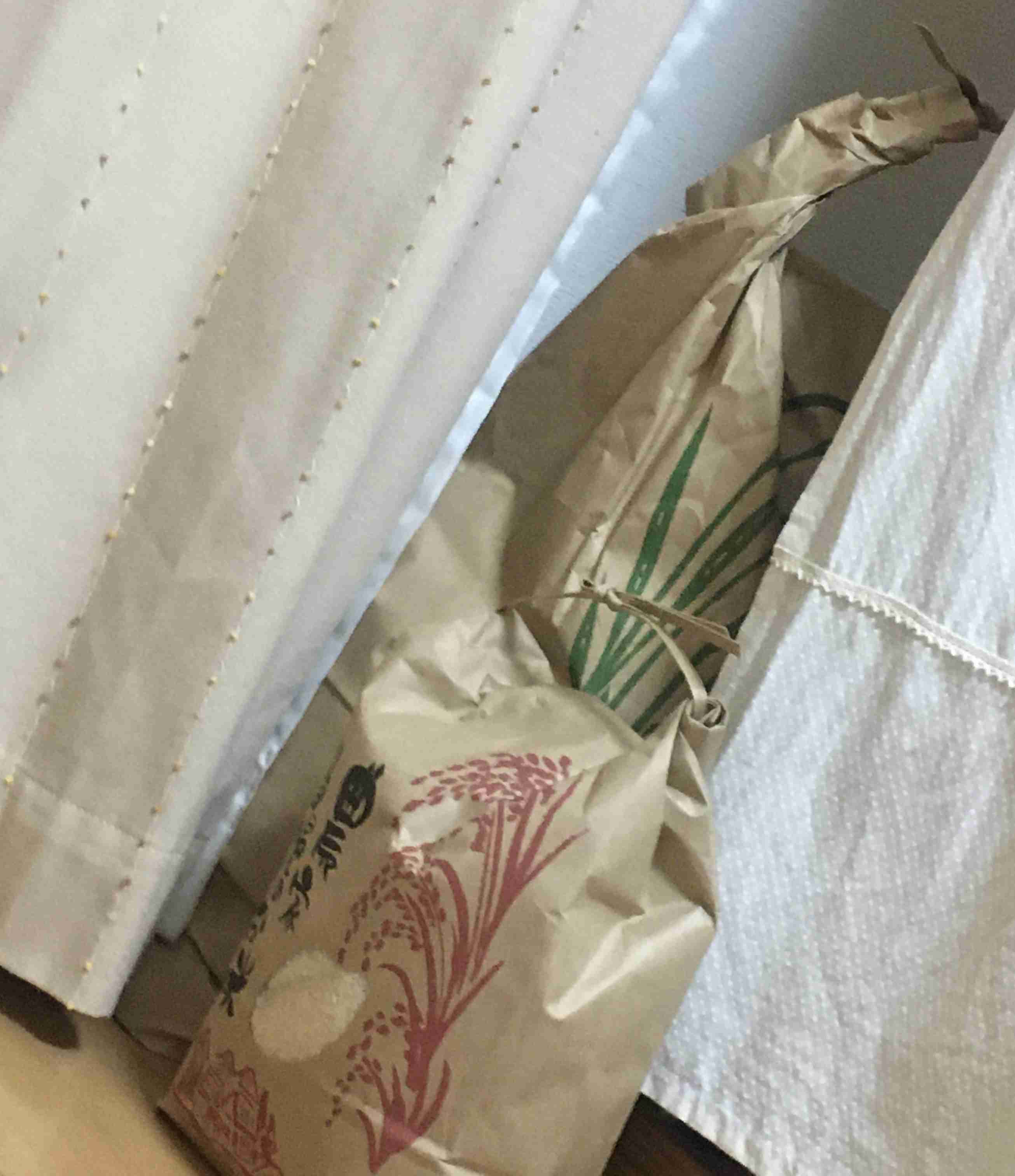 年末年始の我が家の情景を貼るトピ