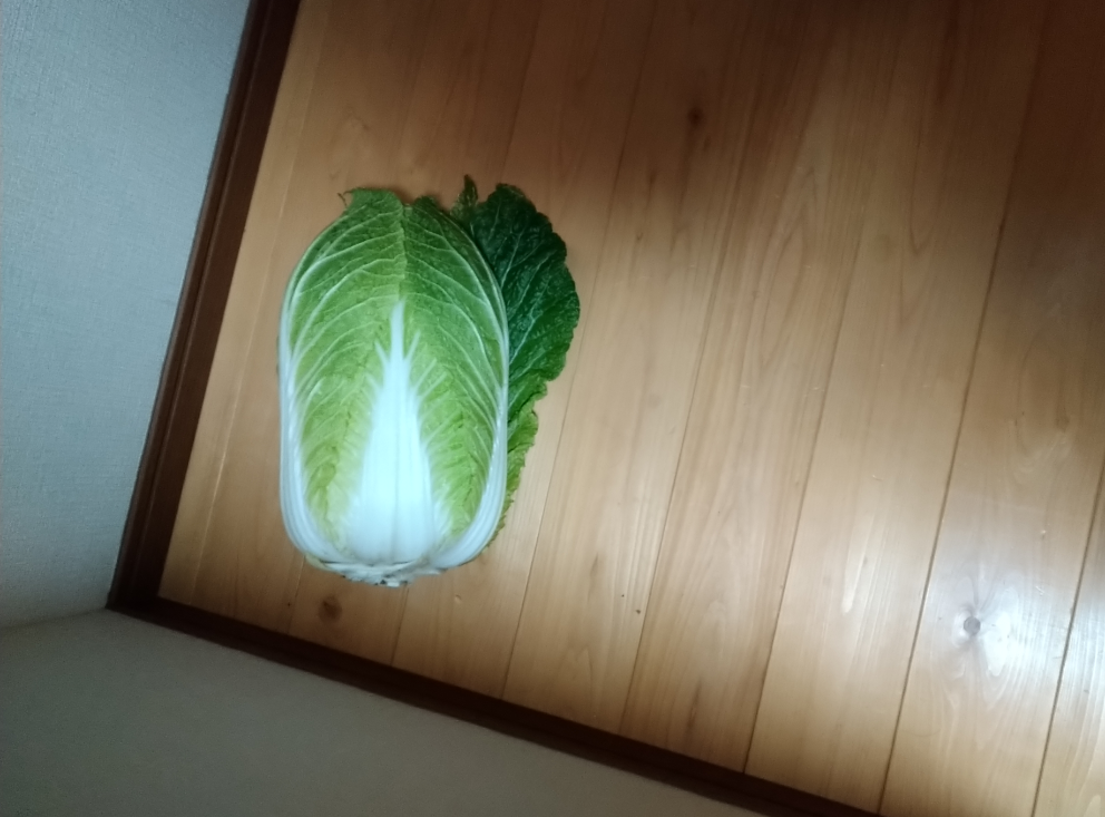 年末年始の我が家の情景を貼るトピ