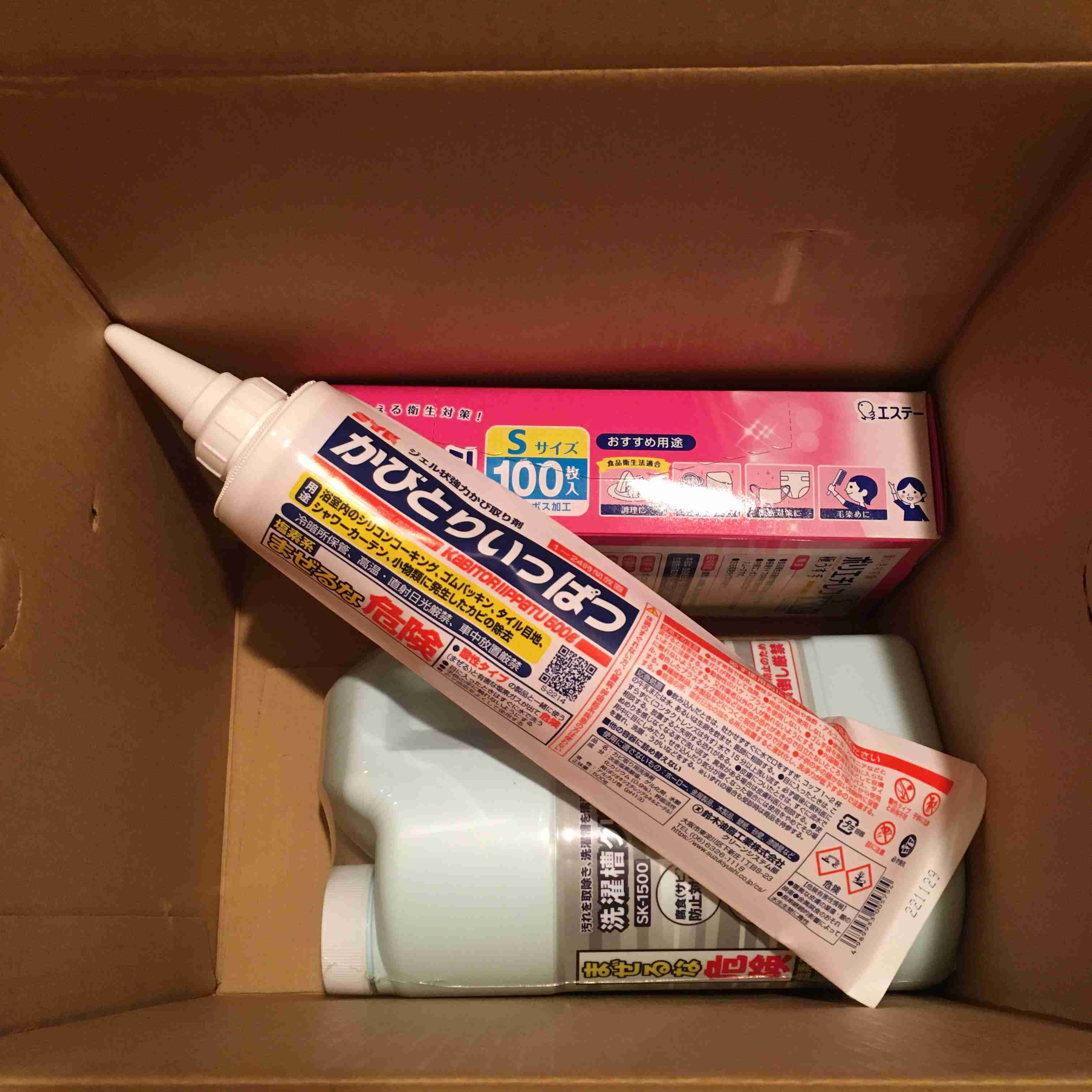 年末年始の我が家の情景を貼るトピ