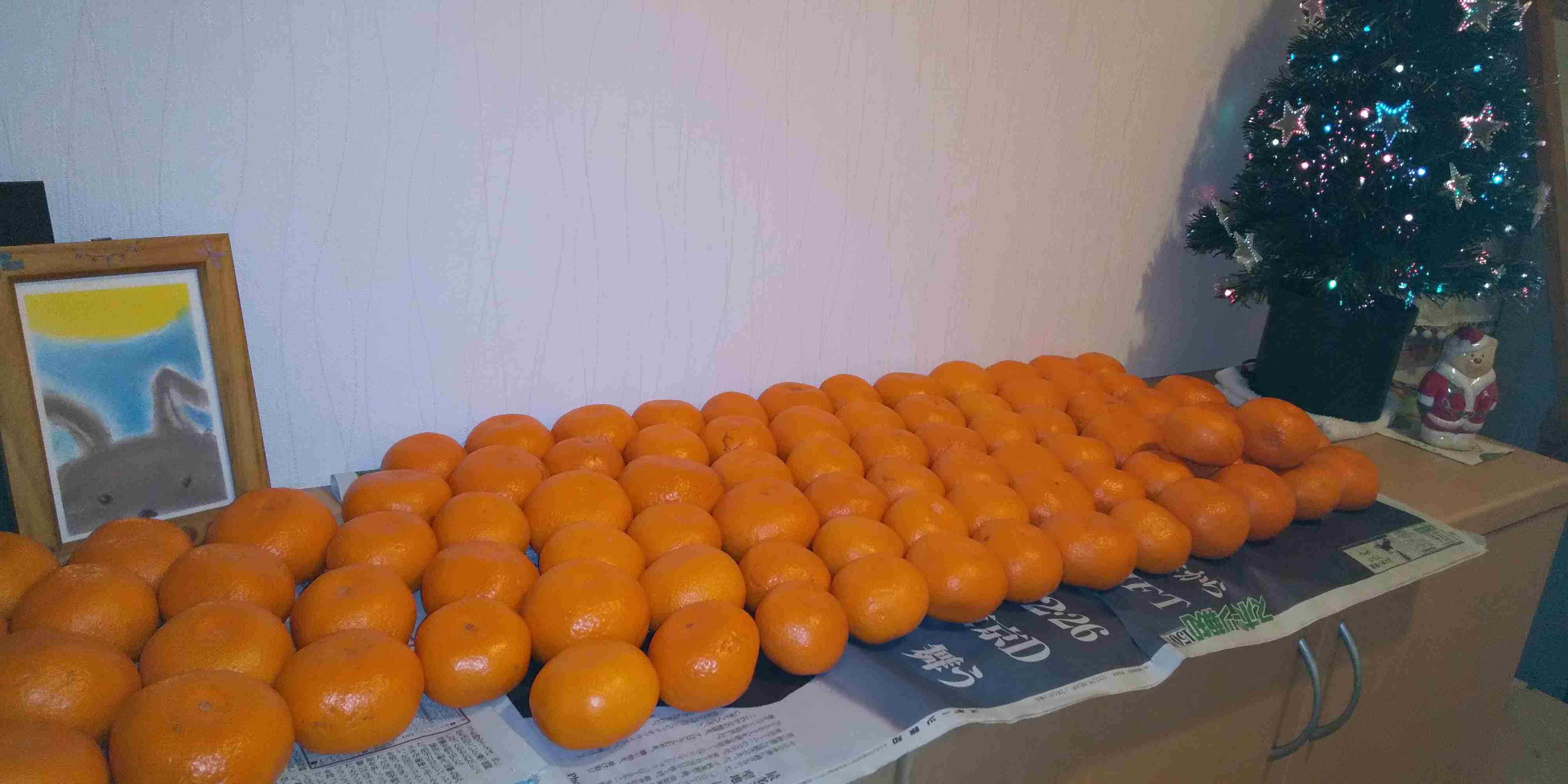 年末年始の我が家の情景を貼るトピ