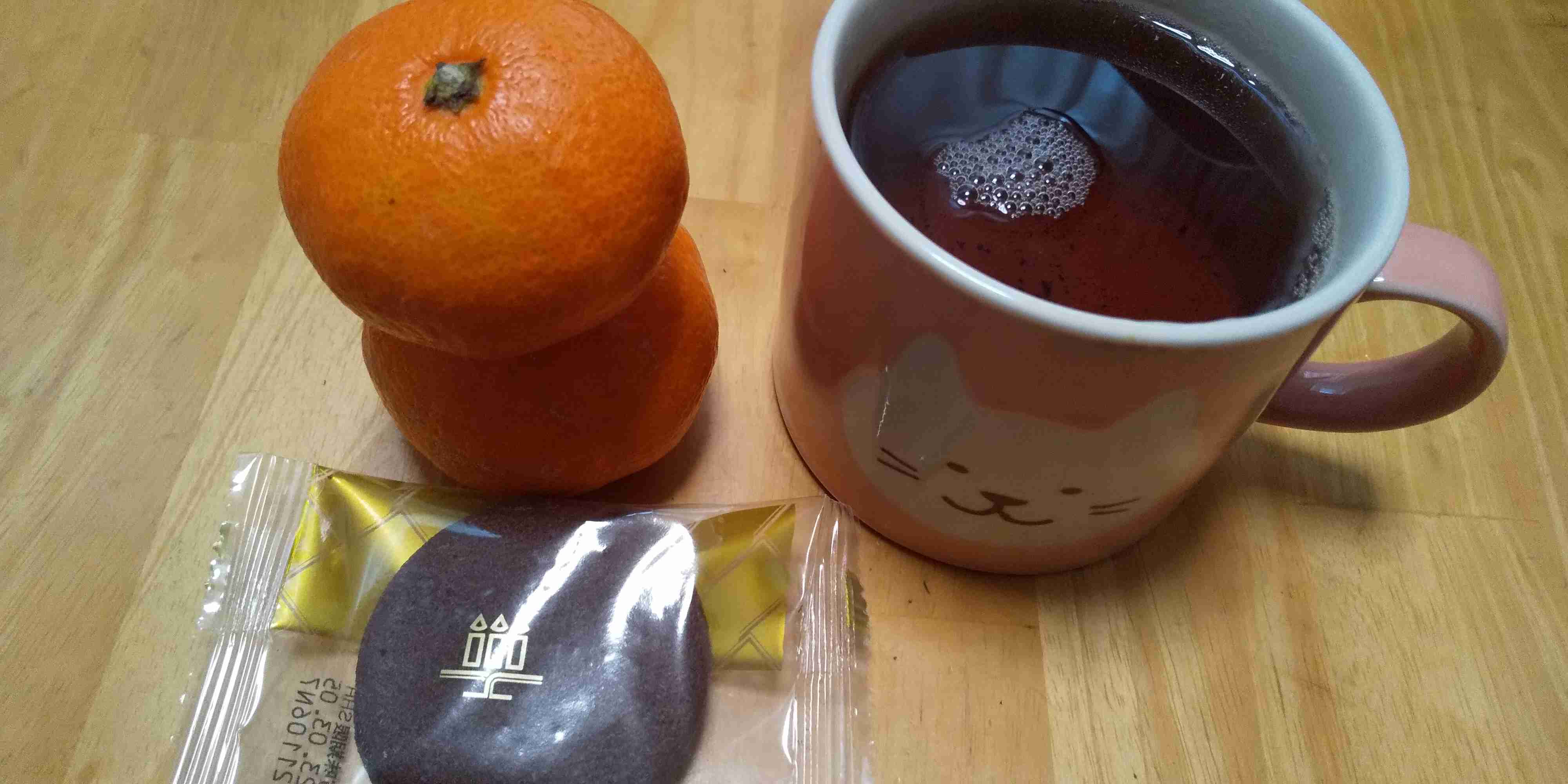 年末年始の我が家の情景を貼るトピ