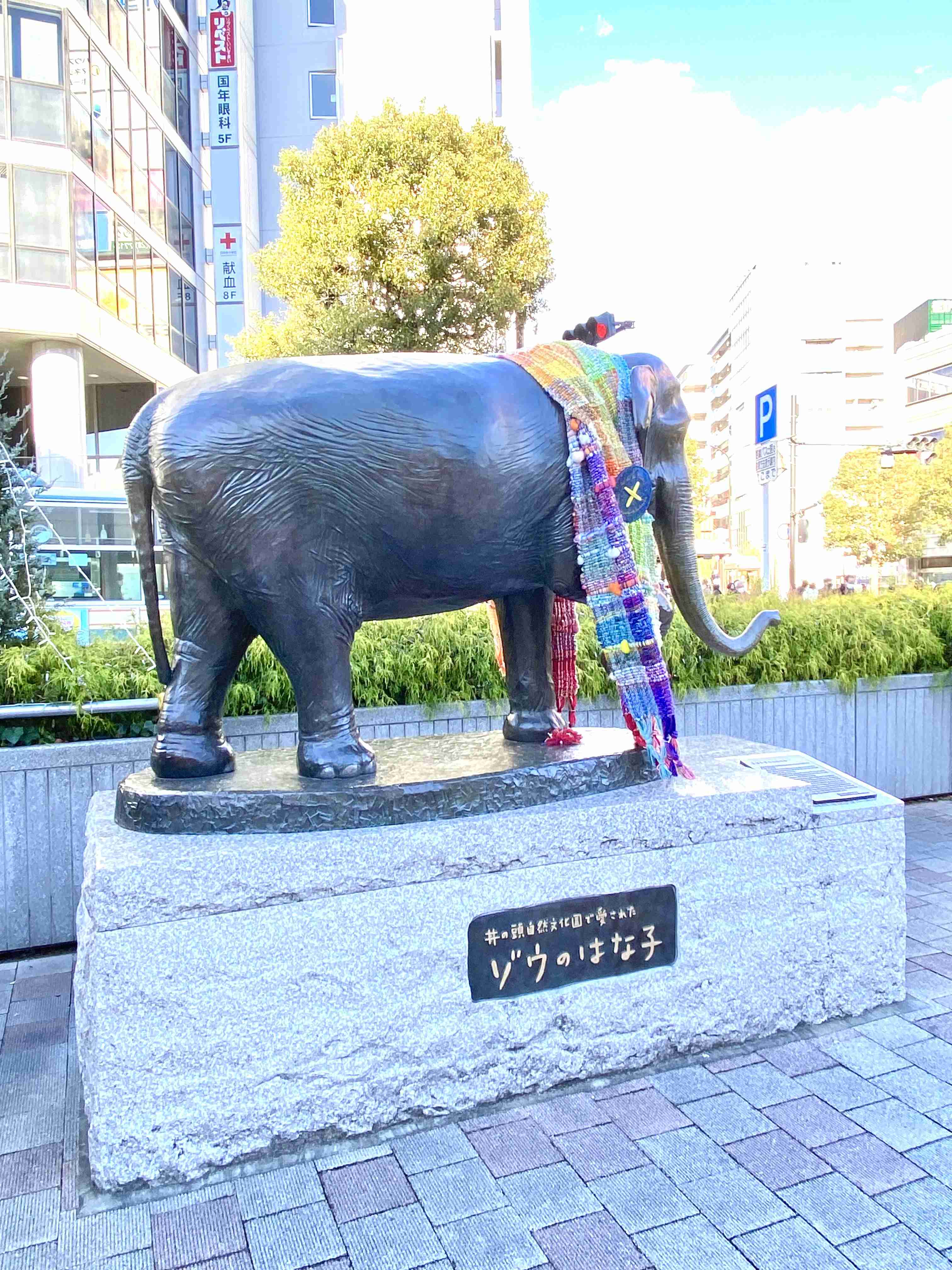 年末年始の我が家の情景を貼るトピ