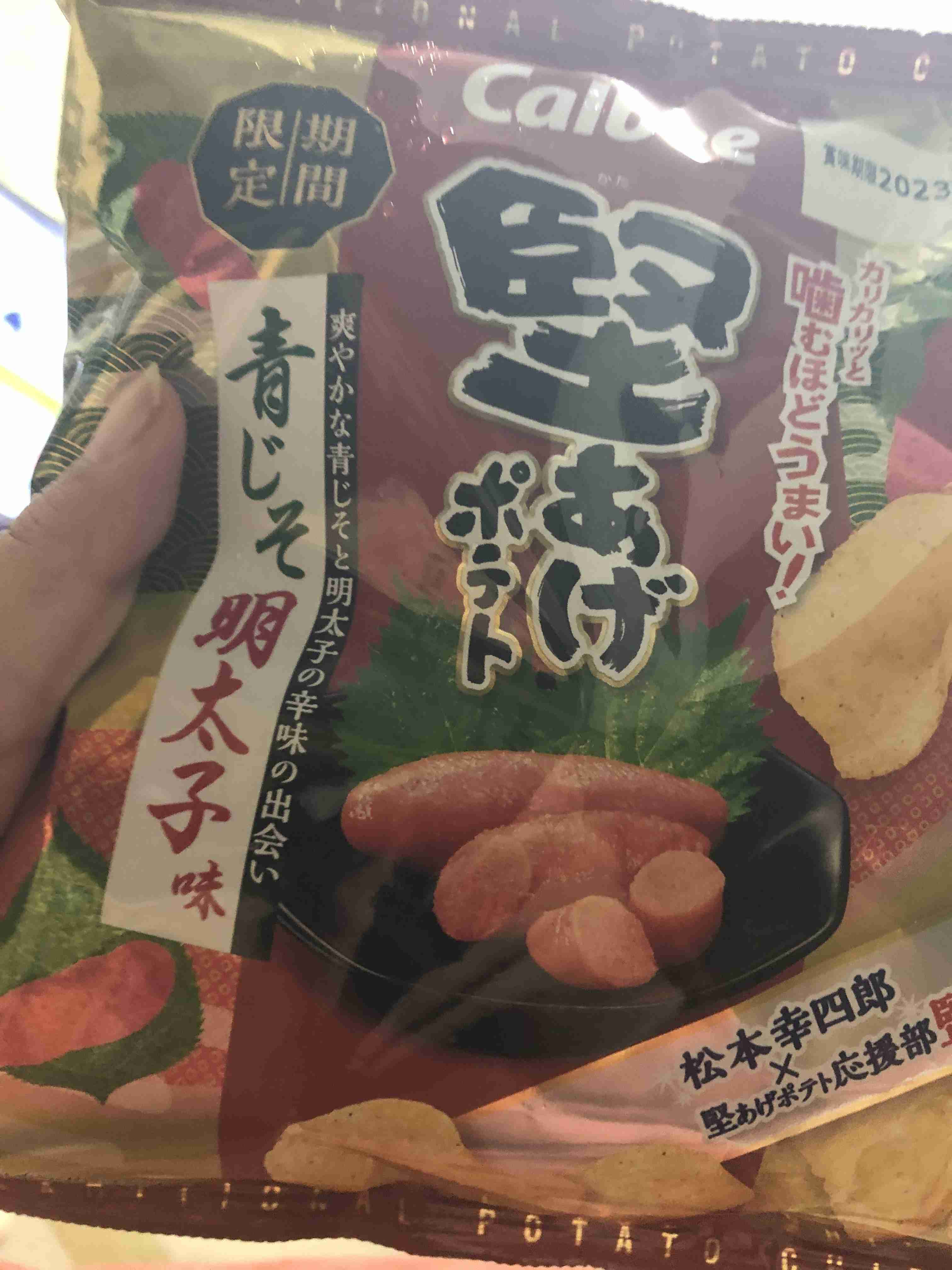 年末年始の我が家の情景を貼るトピ