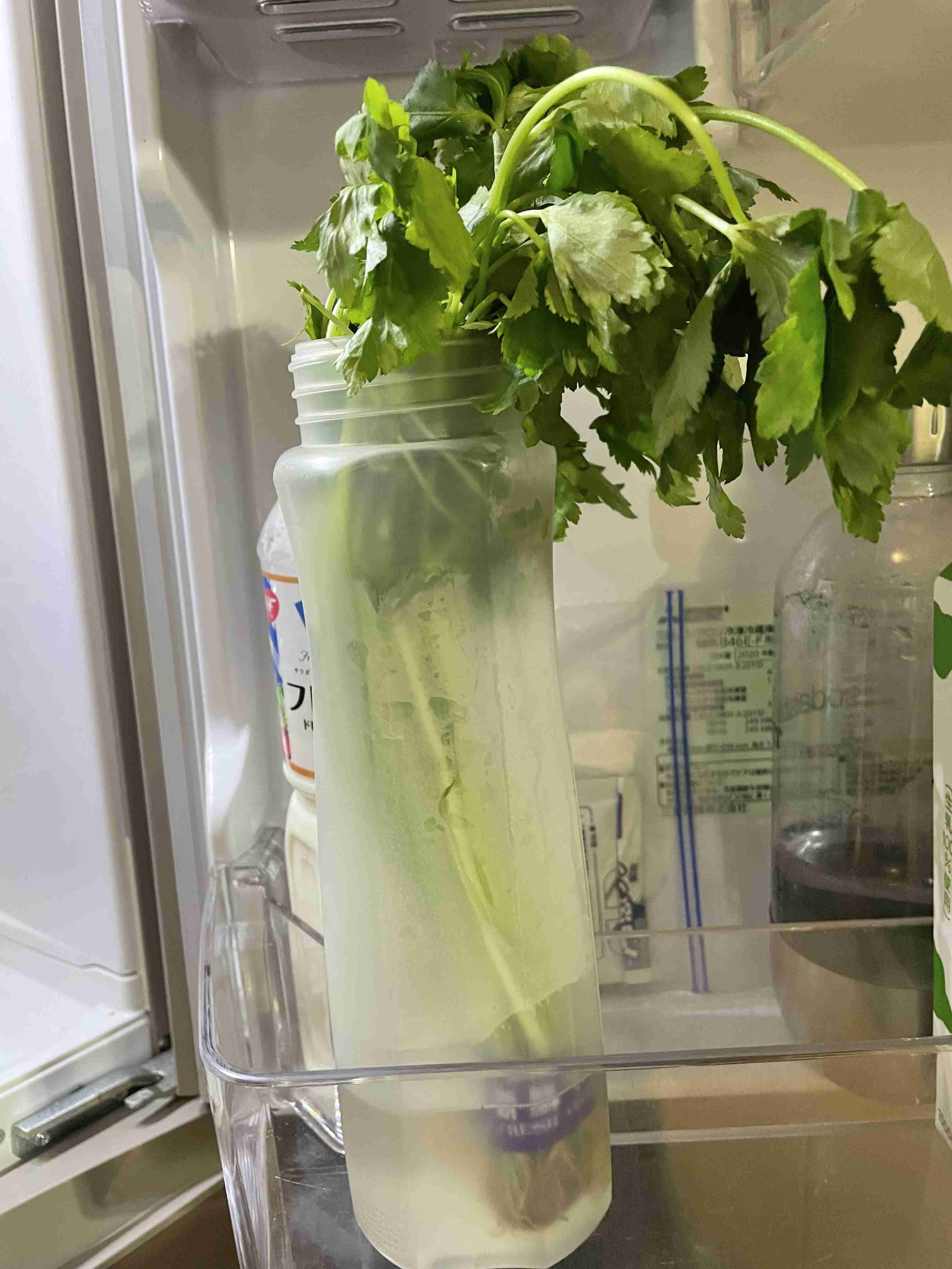 年末年始の我が家の情景を貼るトピ