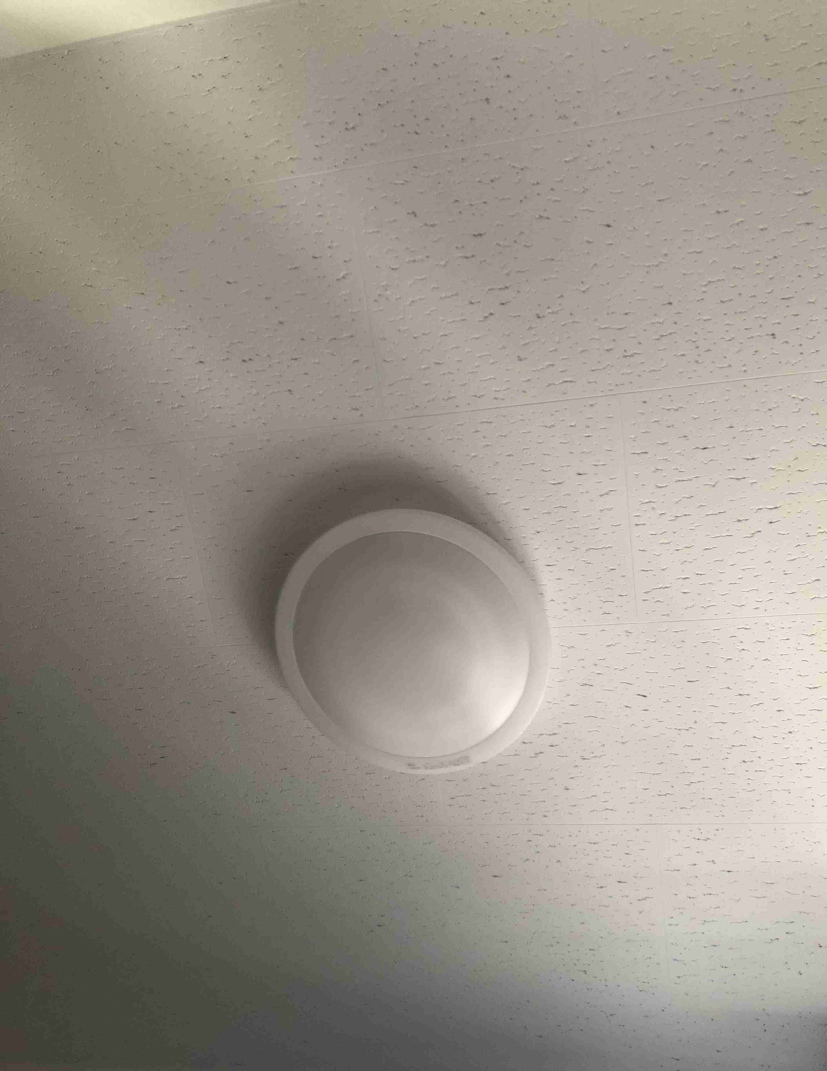 年末年始の我が家の情景を貼るトピ