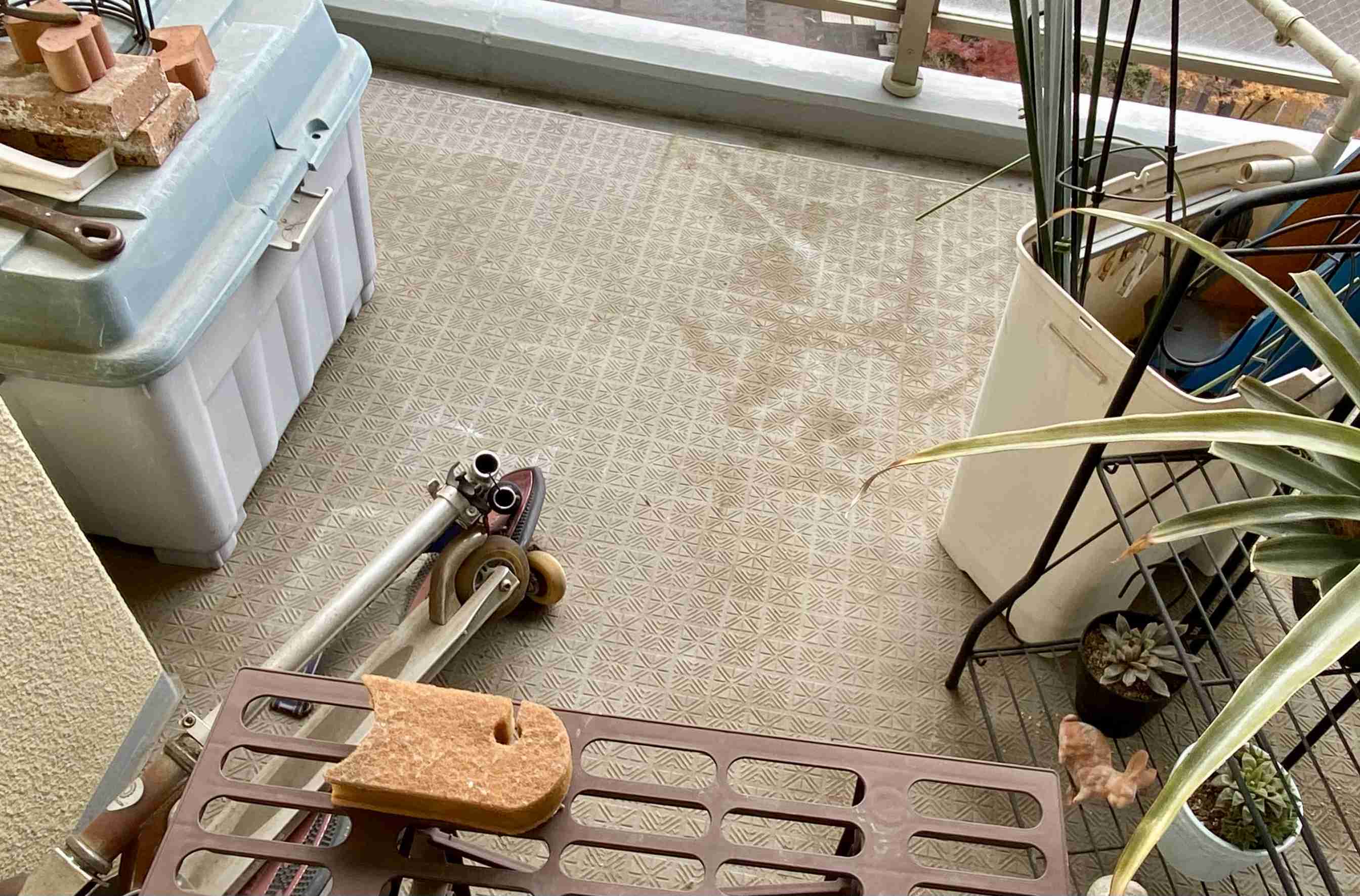 年末年始の我が家の情景を貼るトピ