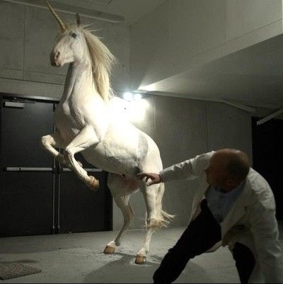好きな映画・ドラマのタイトルを書き込むと皆が好きなキャラクターを返信してくれるトピ