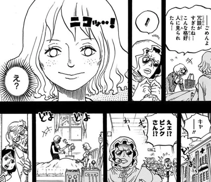 【ONE PIECE】主要人物の過去について語ろう