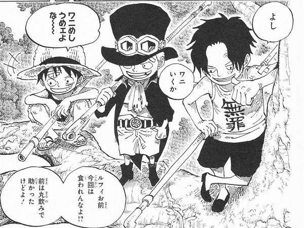 【ONE PIECE】主要人物の過去について語ろう